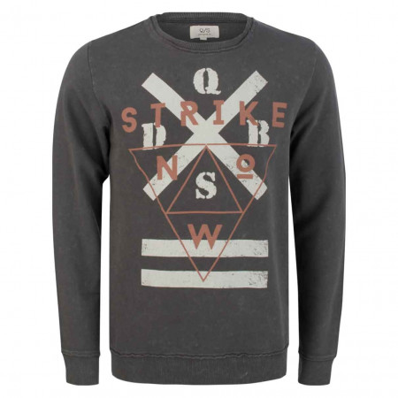 SALE % | Q/S designed by | Sweater - Regular Fit - Print | Grau online im Shop bei meinfischer.de kaufen