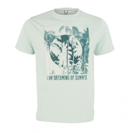 SALE % | Boss Casual | T-Shirt - Regular Fit - Print | Grün online im Shop bei meinfischer.de kaufen