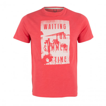 SALE % | Boss Casual | T-Shirt - Regular Fit - Print | Rot online im Shop bei meinfischer.de kaufen