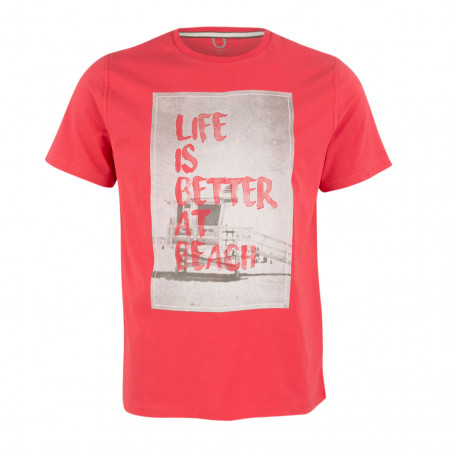 SALE % | Boss Casual | T-Shirt - Regular Fit - Print | Rot online im Shop bei meinfischer.de kaufen