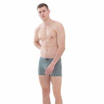Shorts - Regular Fit