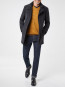 SALE % | Pierre Cardin  | Jeans - Dijon - Regular Fit | Blau online im Shop bei meinfischer.de kaufen Variante 4