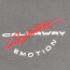 SALE % |  | Callaway Fanshirt Premium | Grau online im Shop bei meinfischer.de kaufen Variante 4