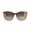 SALE % |  | Sonnenbrille - Vollrand | Braun online im Shop bei meinfischer.de kaufen Variante 2