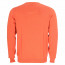 SALE % | CASAMODA | Pullover - Regular Fit - unifarben | Orange online im Shop bei meinfischer.de kaufen Variante 3