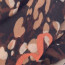 SALE % | Codello Women | Schal - Camouflage | Braun online im Shop bei meinfischer.de kaufen Variante 3