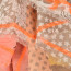 SALE % | Codello Women | Schal - Muster | Orange online im Shop bei meinfischer.de kaufen Variante 3