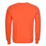 SALE % | Lacoste | Sweater - Regular Fit - unifarben | Orange online im Shop bei meinfischer.de kaufen Variante 3