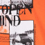 SALE % | Lerros | T-Shirt - Regular Fit - Print | Orange online im Shop bei meinfischer.de kaufen Variante 4