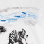SALE % | Marc Cain | Sweatshirt - Regular Fit - Print | Weiß online im Shop bei meinfischer.de kaufen Variante 4