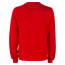 SALE % | ONE MORE STORY | Sweater - Regular Fit - Wording | Rot online im Shop bei meinfischer.de kaufen Variante 3