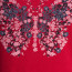 SALE % | s'questo | T-Shirt  - fitted - Frontprint | Rot online im Shop bei meinfischer.de kaufen Variante 4