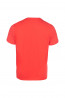 SALE % | QUESTO SAVAGE | Shirt - Regular Fit - Print | Rot online im Shop bei meinfischer.de kaufen Variante 3