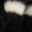 SALE % | Sportalm | Schal - Sarir - Fake Fur | Schwarz online im Shop bei meinfischer.de kaufen Variante 3
