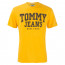 SALE % | Tommy Jeans | T-Shirt - Regular Fit - Print | Gelb online im Shop bei meinfischer.de kaufen Variante 2