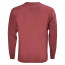 SALE % | Tommy Jeans | Sweatshirt - Regular Fit - Crewneck | Rot online im Shop bei meinfischer.de kaufen Variante 3
