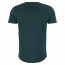 SALE % | Tom Tailor Men Casual | T-Shirt - Regular Fit - Crewneck | Grün online im Shop bei meinfischer.de kaufen Variante 3