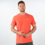 SALE % | Tom Tailor Men Casual | T-Shirt - Regular Fit - Crewneck | Rot online im Shop bei meinfischer.de kaufen Variante 5